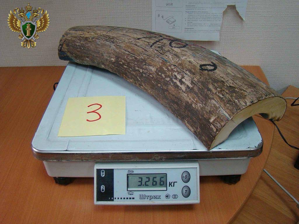 В Якутии на реабилитацию участников СВО поступило мало заявок В Якутии на реабилитацию участников СВО поступило мало заявок