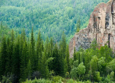 В Верхоянье продолжается тушение одного пожара площадью 100 га В Верхоянье продолжается тушение одного пожара площадью 100 га