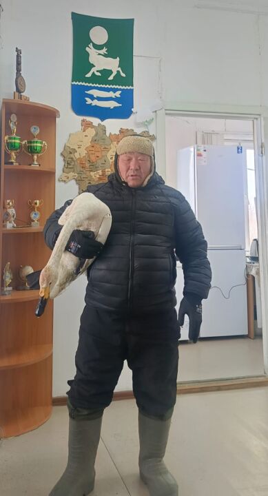 В Жиганском районе охотник спас погибающего лебедя