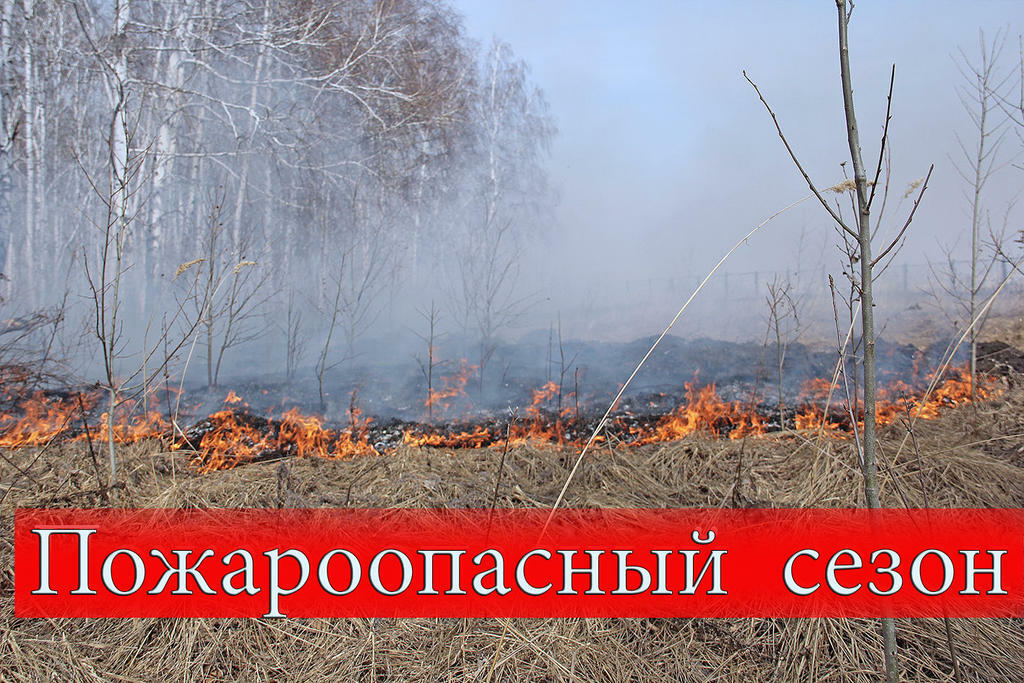 Пожароопасный сезон установлен в лесах пяти районов Якутии Пожароопасный сезон установлен в лесах пяти районов Якутии