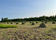 Выполнение сенокосного плана в Якутии достигло порядка 5%