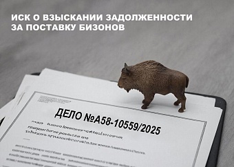 ИП из Бурятии не заплатил за якутских бизонов