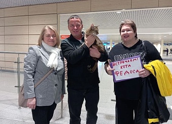 Кот Федос и необычный кросс